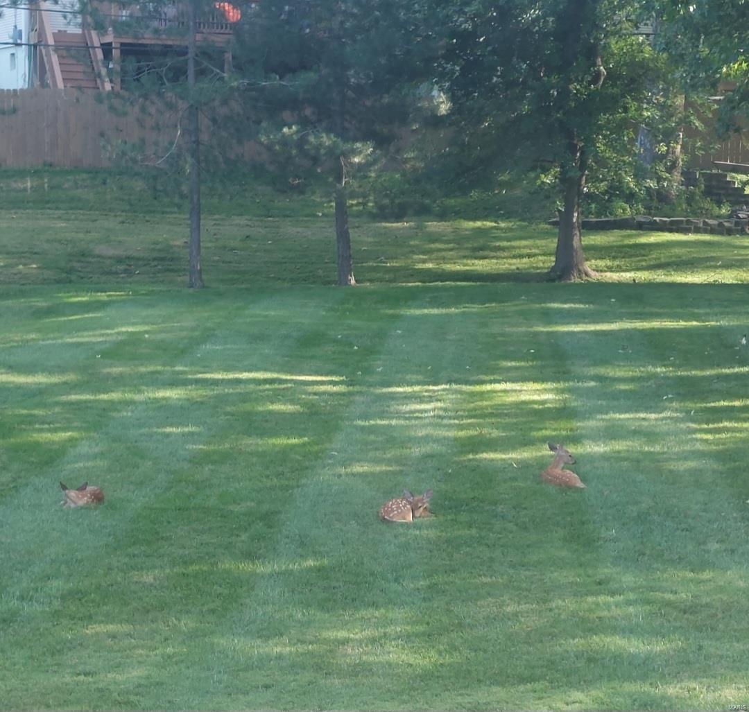 Ballwin, Missouri 63011, United States, 3 Bedrooms Bedrooms, ,2 BathroomsBathrooms,Residential,Pending,25757