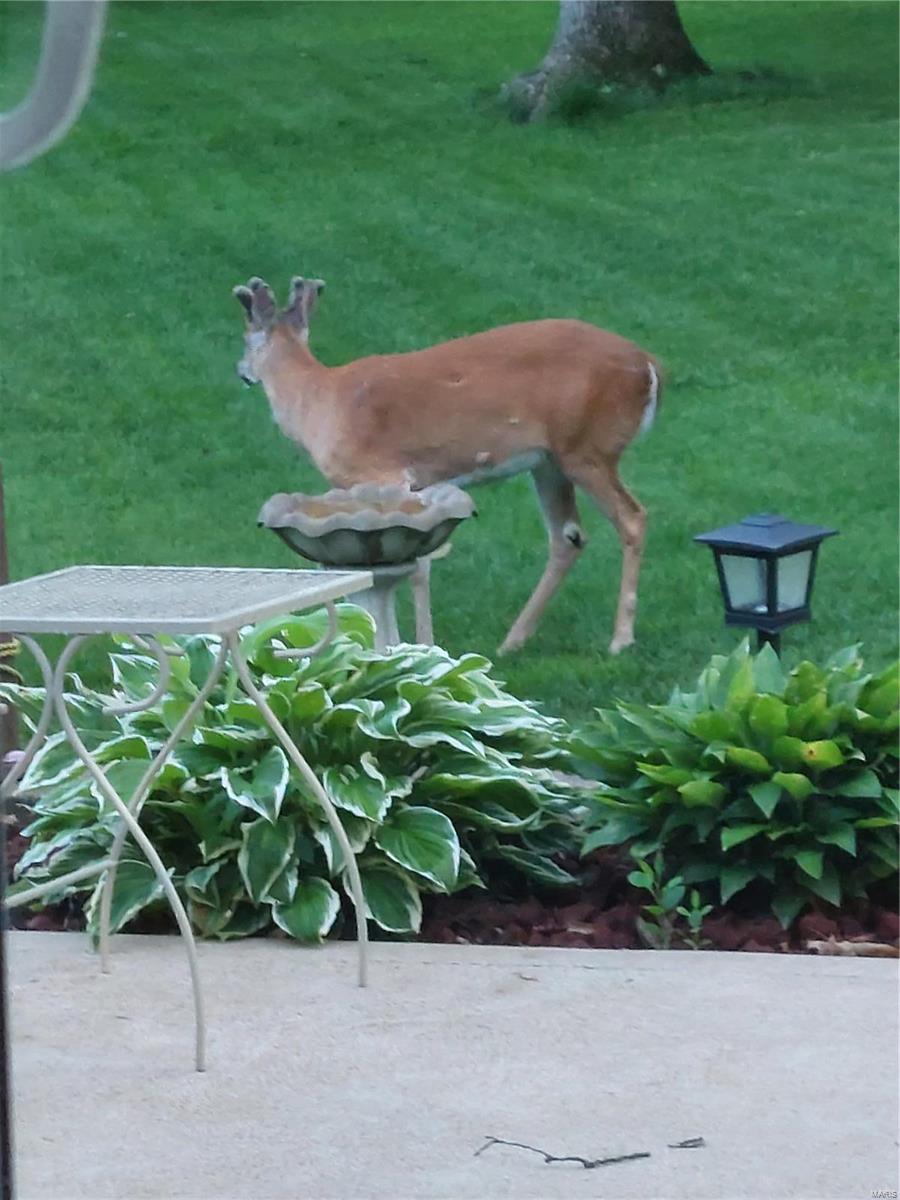 Ballwin, Missouri 63011, United States, 3 Bedrooms Bedrooms, ,2 BathroomsBathrooms,Residential,Pending,25757