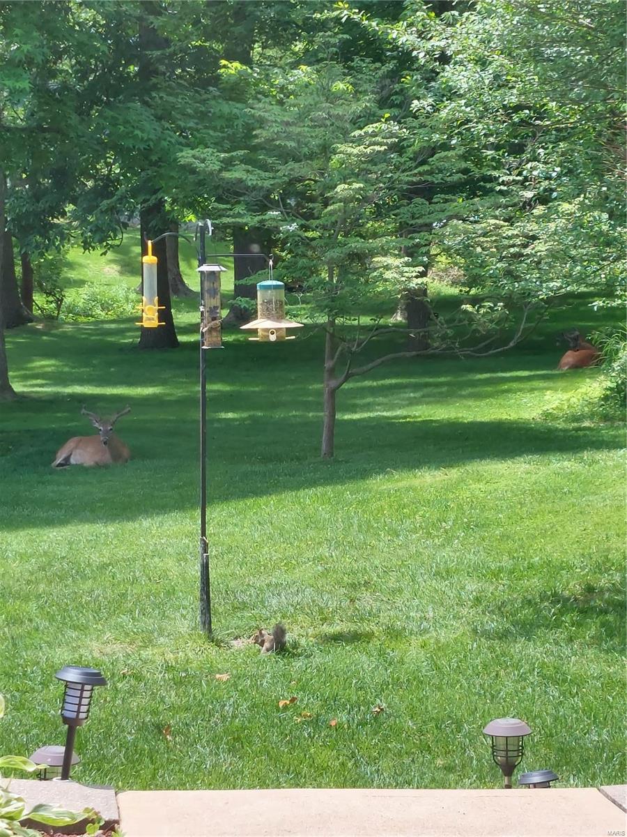 Ballwin, Missouri 63011, United States, 3 Bedrooms Bedrooms, ,2 BathroomsBathrooms,Residential,Pending,25757