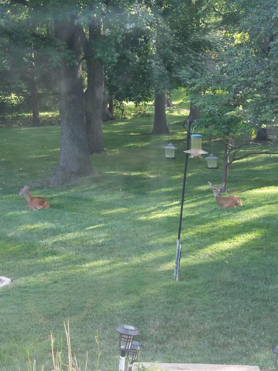 Ballwin, Missouri 63011, United States, 3 Bedrooms Bedrooms, ,2 BathroomsBathrooms,Residential,Pending,25757