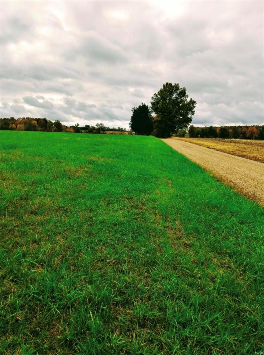 Bloomfield - Farm