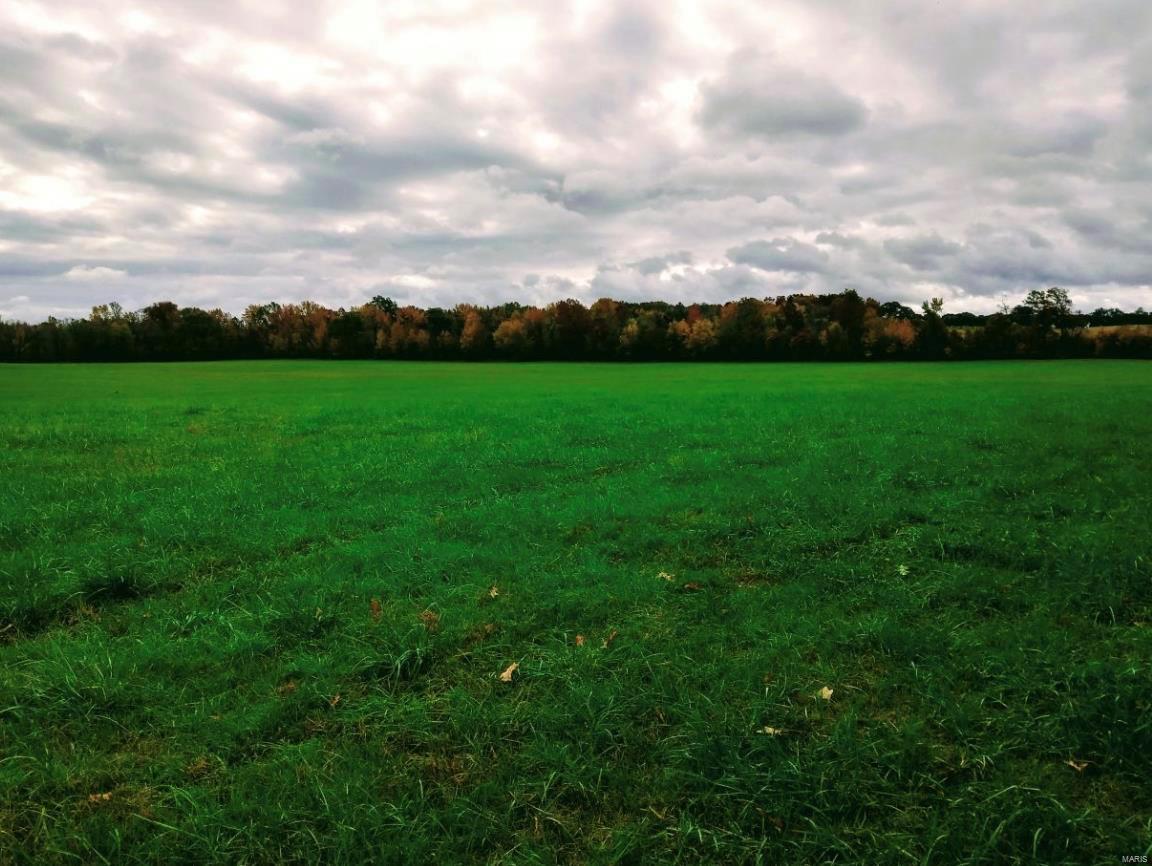 Bloomfield - Farm