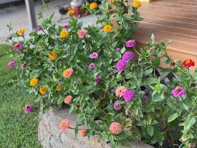 wright-not in list - Farm