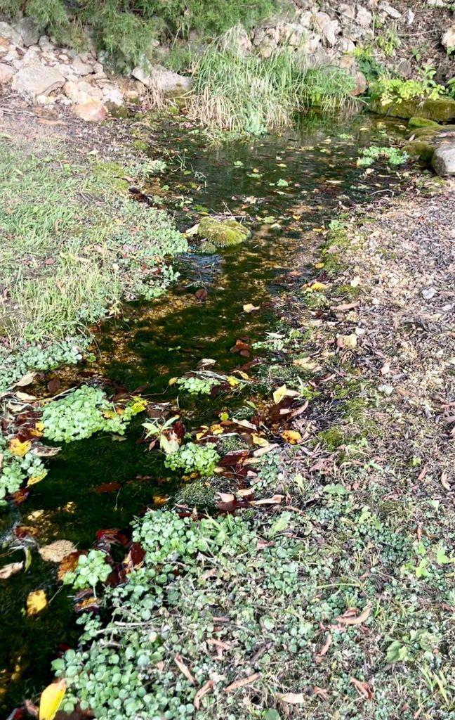 wright-not in list - Farm