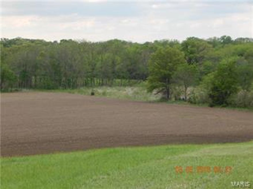 265.75 Ac Surveyed Acres Randolph County. Approximately 174 crop acres with approx. 125.62 nice bottom acres, remainder in woods and brush, EZ 156 says there is 195.81 acres crop and open acres. Buyer can get possession of 2017  farm ground if they close by Apr 15, 2017. Current farmer is paying $175 per acre cash rent. Price is $3500 per Acre.