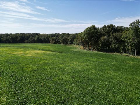 Tiny photo for 0 48.25 Ac m/l Pike 409, New Hartford, MO 63359 (MLS # 24053441)