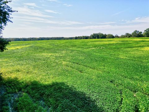 Tiny photo for 0 48.25 Ac m/l Pike 409, New Hartford, MO 63359 (MLS # 24053441)