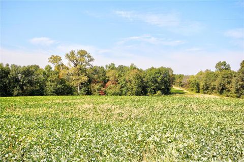 Tiny photo for 0 48.25 Ac m/l Pike 409, New Hartford, MO 63359 (MLS # 24053441)