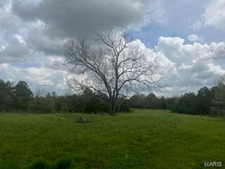 A true hunter's paradise! This 360 acre property offers prime hunting with frequent deer and turkey sightings, established shooting lanes, and multiple food plots tailored for wildlife. Enjoy a peaceful pond, excellent county road frontage for easy access, and electricity already on site-ready for your cabin or hunting lodge. Don't miss this rare opportunity to own a turnkey recreational retreat!