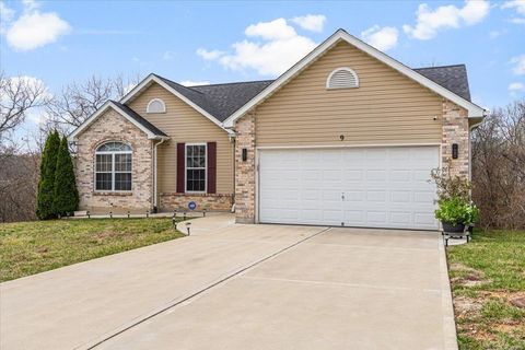 9 Amber Ridge Court High Ridge MO 63049