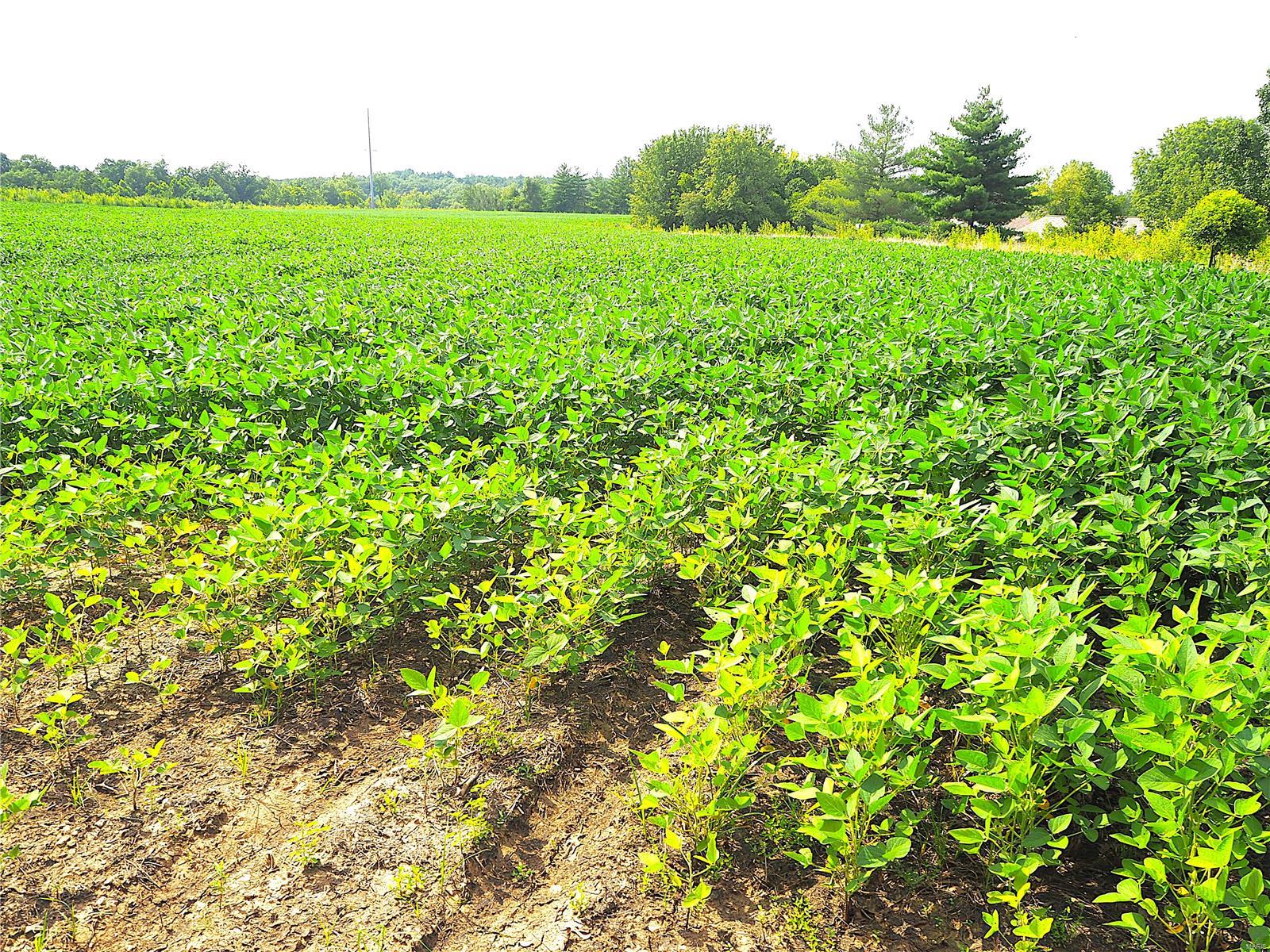 Trails Riverwood 06 - Commercial Sale