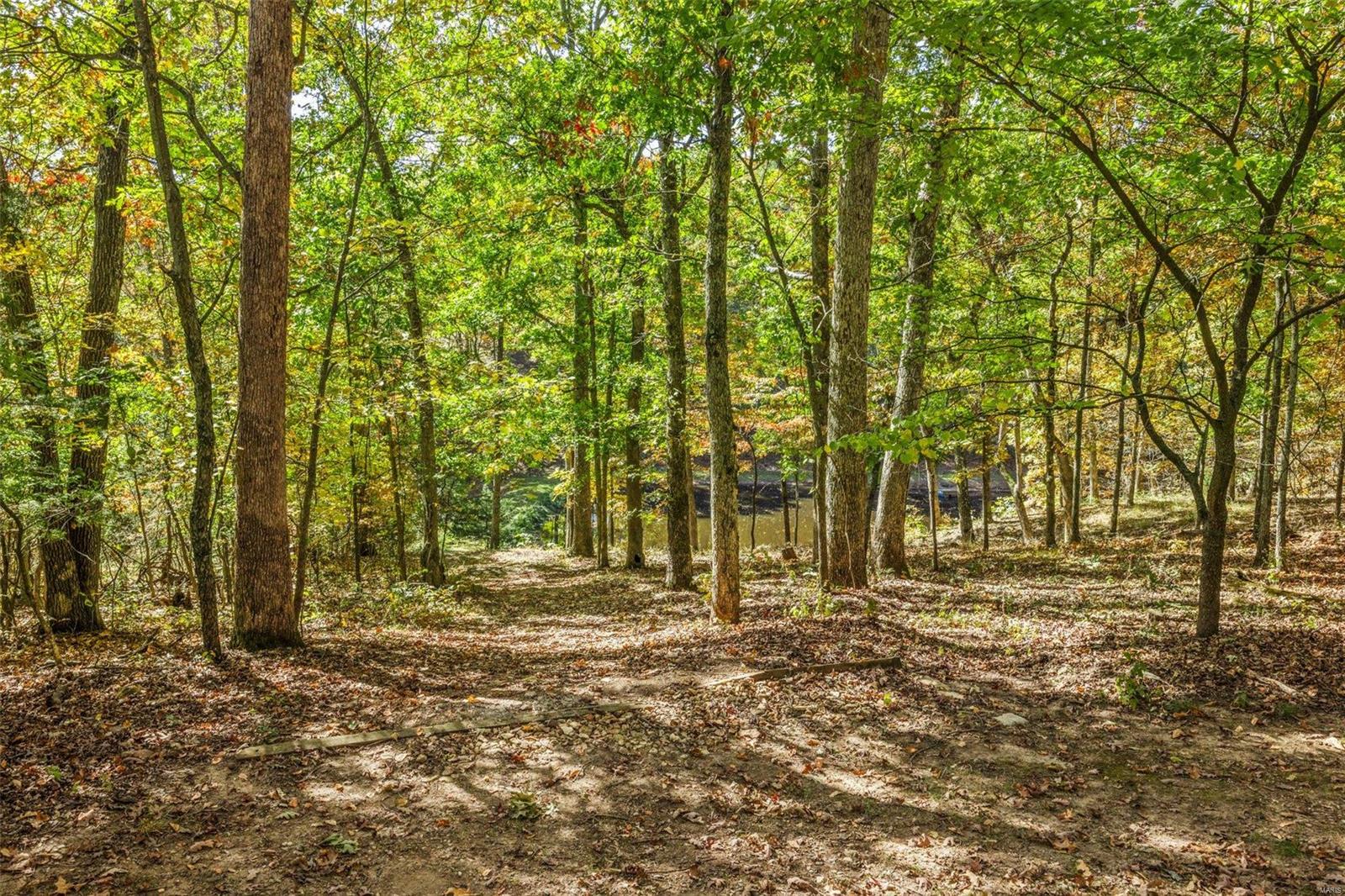 Defiance, Missouri 63341, United States, 3 Bedrooms Bedrooms, ,4 BathroomsBathrooms,Residential,Pending,36579