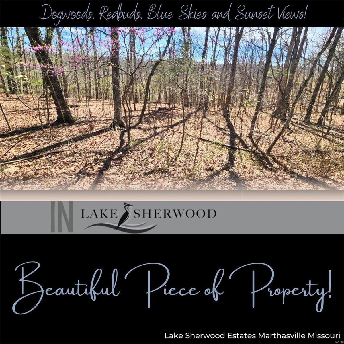 Lake Sherwood Estates - Land