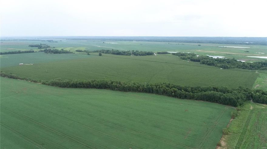 220+/- acres highly tillable farm in Lincoln County. Farm is located in the Elsberry river bottoms. Farm has a history of producing excellent yields. With over 95% tillable, this is an excellent way to diversify your financial portfolio. Farm can also be purchased as 120+/- tract.