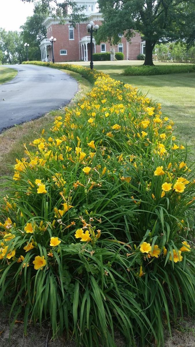 Richards-Hafner - Residential