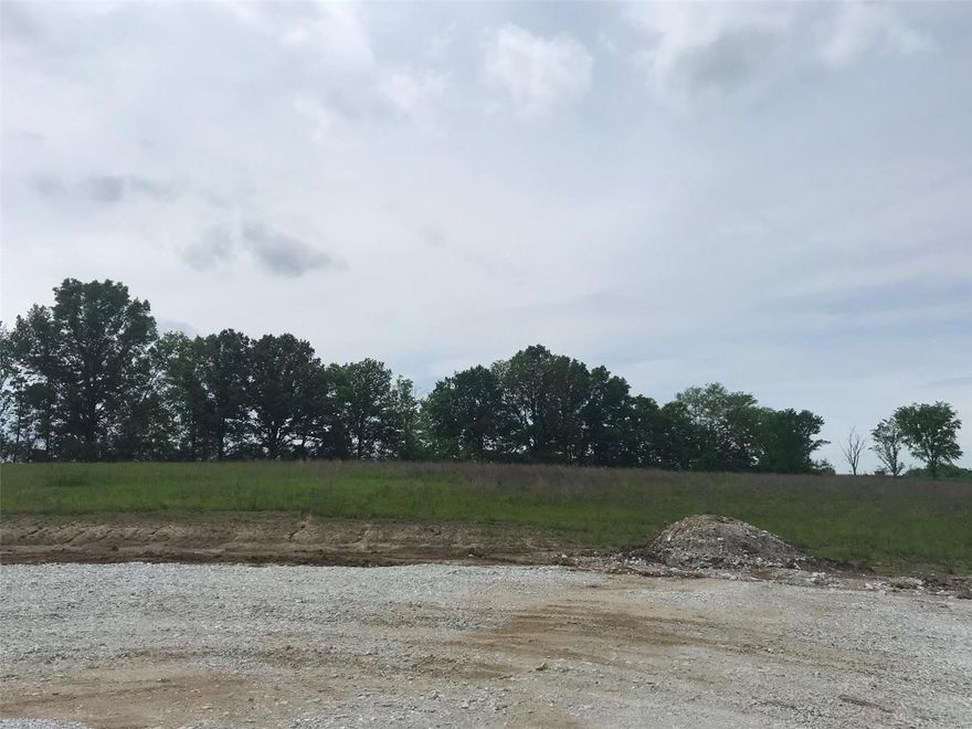 Beautiful 3-acre lot subdivision with only 7 lots left. Street lights, paved road, high speed internet, underground electric. Close Proximity to highway and town.  Road to be paved (summer/fall 2021). If you are in the market for a nice 3-acre, tree-lined lot in southern Lincoln County. Look no further.  1700 sq ft minimum ranch 2400 sq ft 1.5 and 2 story homes.  All homes must have side/rear entry garages.  All lots would accommodate side walk-out basement. Additional Rooms: In Platted Subdv.