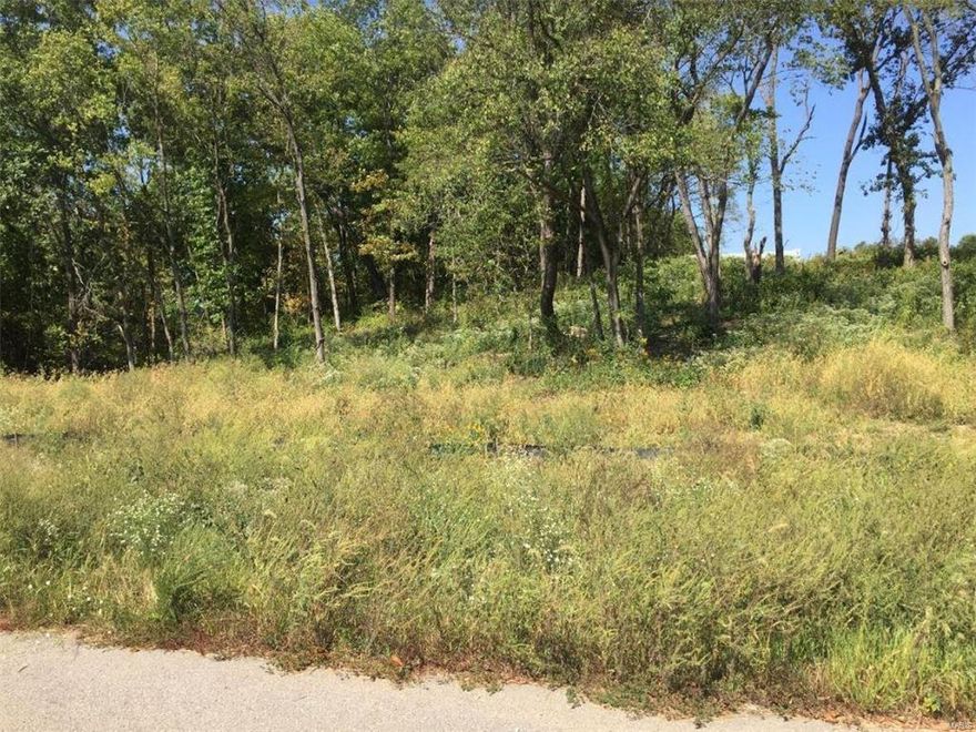 Great Location in northern St. Charles County that offers 3+ acres with plenty of open space for your perfect home. Near Indian Camp Creek Park in Highly sought after building sites in Wentzville School District.