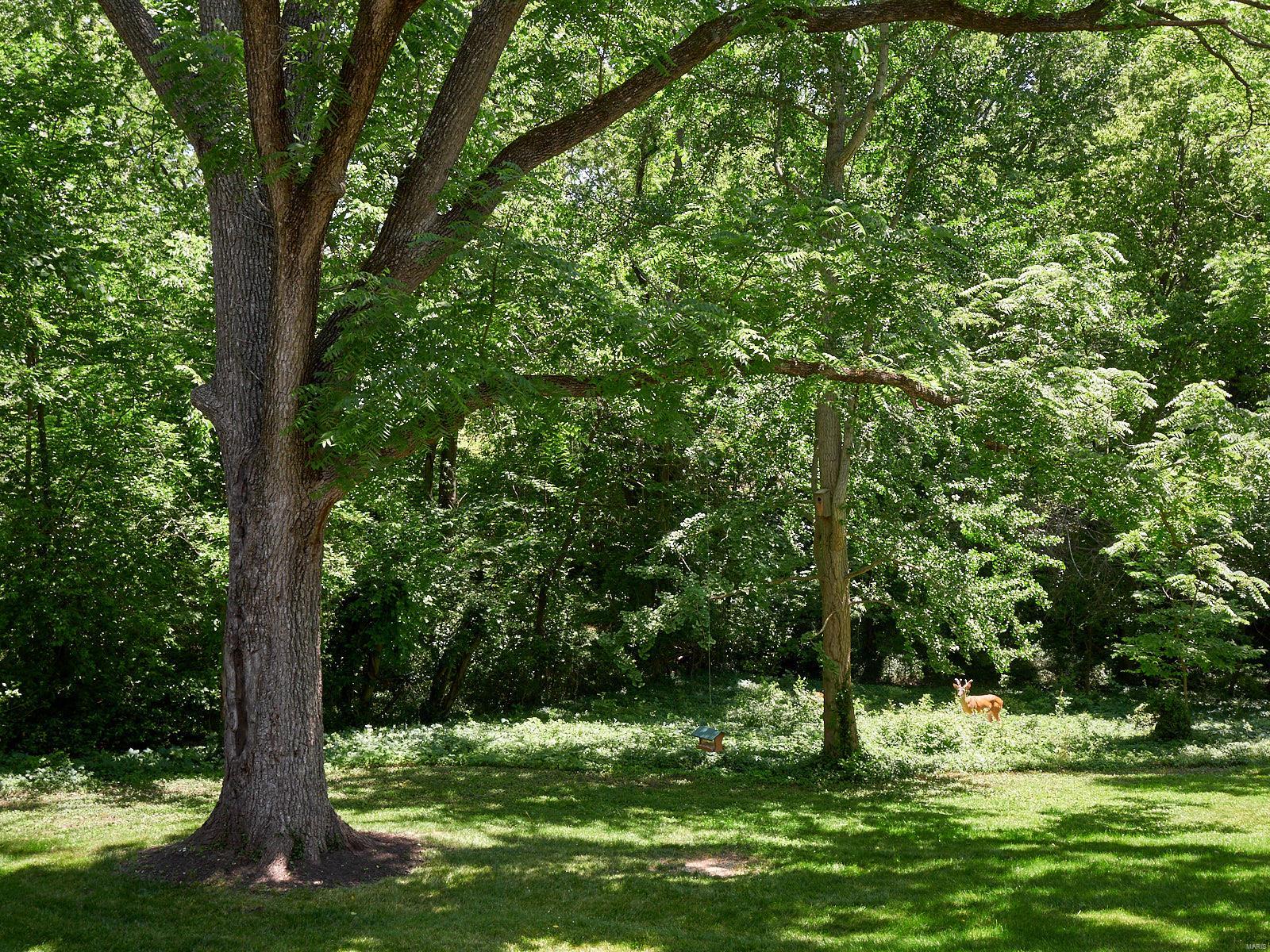 Webster Groves - Residential