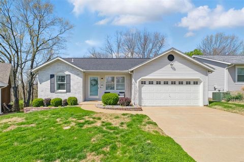 40 Muir Street Eureka MO 63025