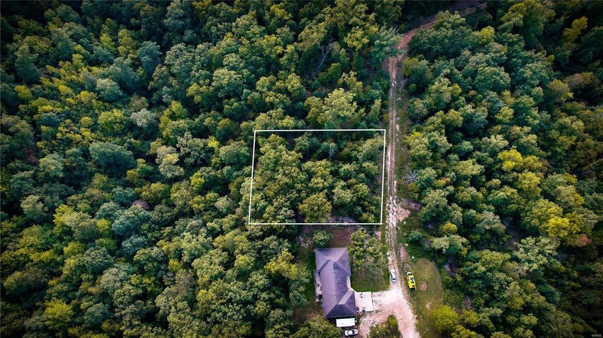 Beautiful lot in the developing subdivision of Hawk Lake Estates. This subdivision has NO HOA and NO RENTAL RESTRICTIONS! It's a nice buildable lot with shared water place. Road has easy access with lots of privacy and wildlife around. Come take a look at your future. Additional Rooms: In Platted Subdv.