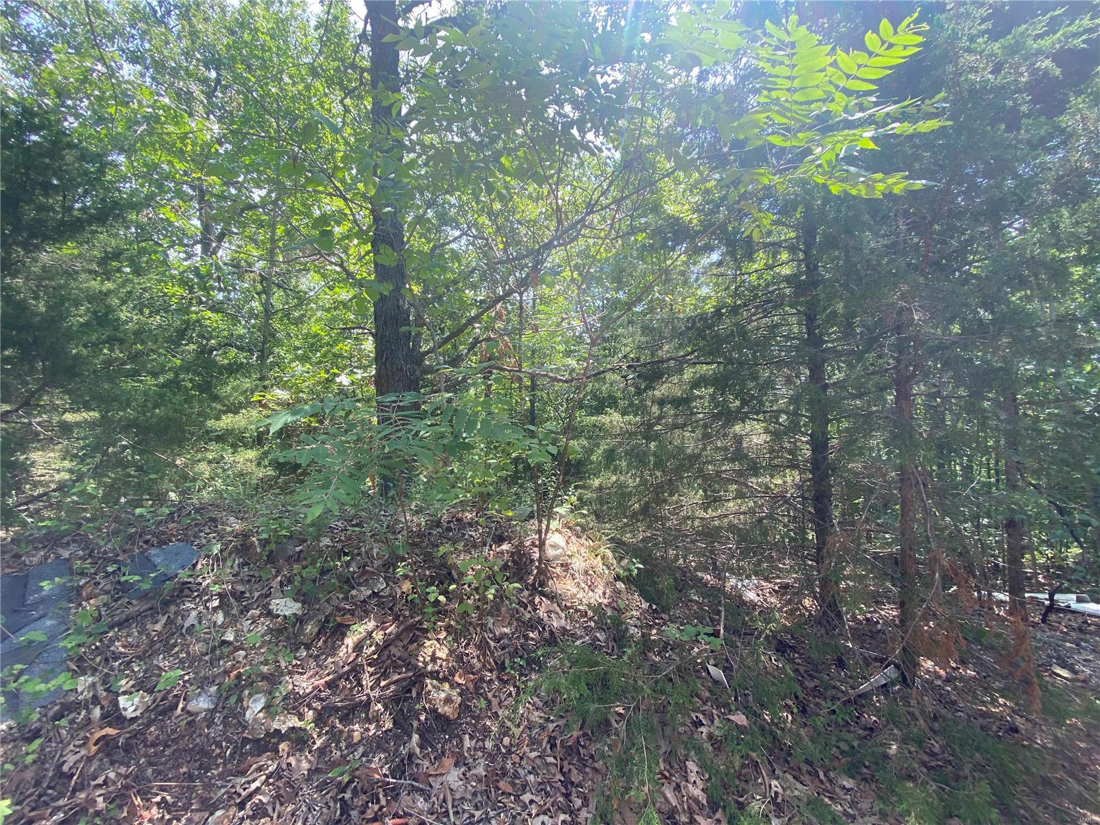 River Ridge - Residential