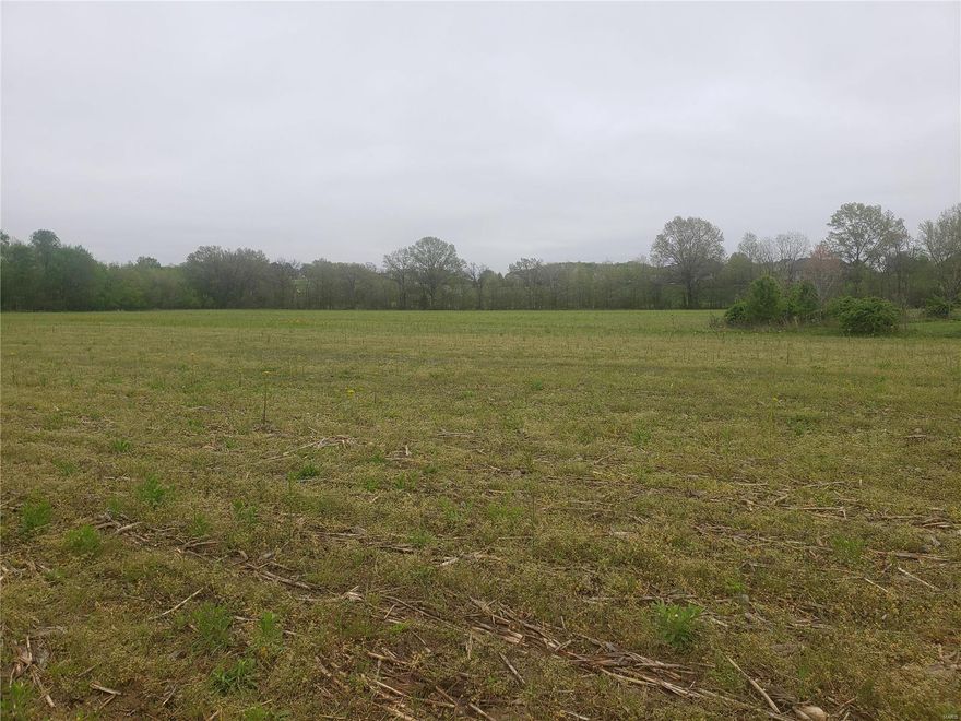 37.92 Acres in the heart of Unincorporated Wentzville area with so many possibilities. Located in Francis Howell School District. Nice mixed acreage of open grounds and wooded acres, currently zoned as agricultural land. Currently owners do farm some of the property. Great opportunity for farmers and/or to build your custom home and have lots of acreage. Easy access to this property through Avondale Park subdivision. Survey completed and Vacant Land Disclosure are available. Great location, close to Highway 40/61.