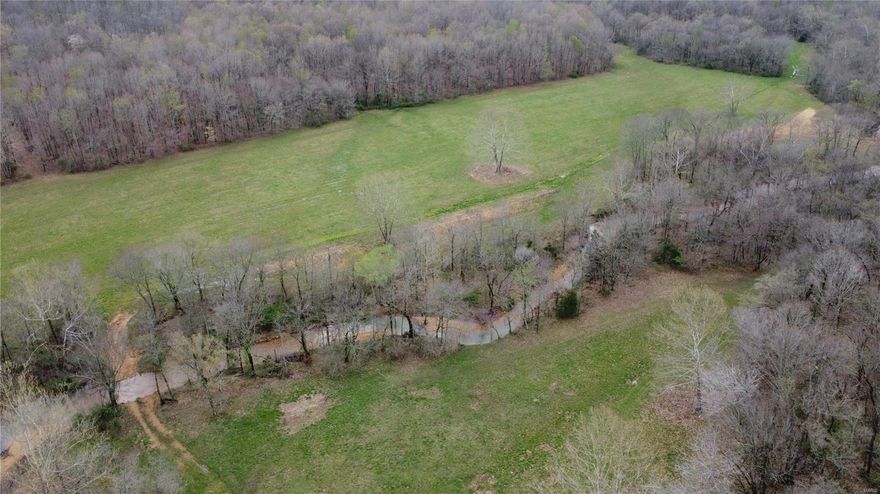 91 acres of solitude brought to you by this beautiful and secluded rural farm for sale in Ripley County, Missouri. Adjoining several hundred acres of Mark Twain National Forest to the South, and in immediate proximity to several thousand acre blocks of National Forest, this unique property features a spring fed pond in addition to the North Prong of Fourche Creek delivering fresh water virtually year-round. The perimeter is mostly fenced with barbed wire requiring minimal effort to graze livestock. Currently used for recreation and cutting hay, this area is abound with native wildlife including Whitetail Deer and Wild Turkey. A nice permanent deer stand on the back ridge plus several good crossings provide excellent hunting opportunities throughout the property. Electric service is installed to a 30 amp RV service and telephone / internet are available. Below the pond is a newly established orchard offering a variety of fruit trees. Check out the photos but come visit to fall in love.