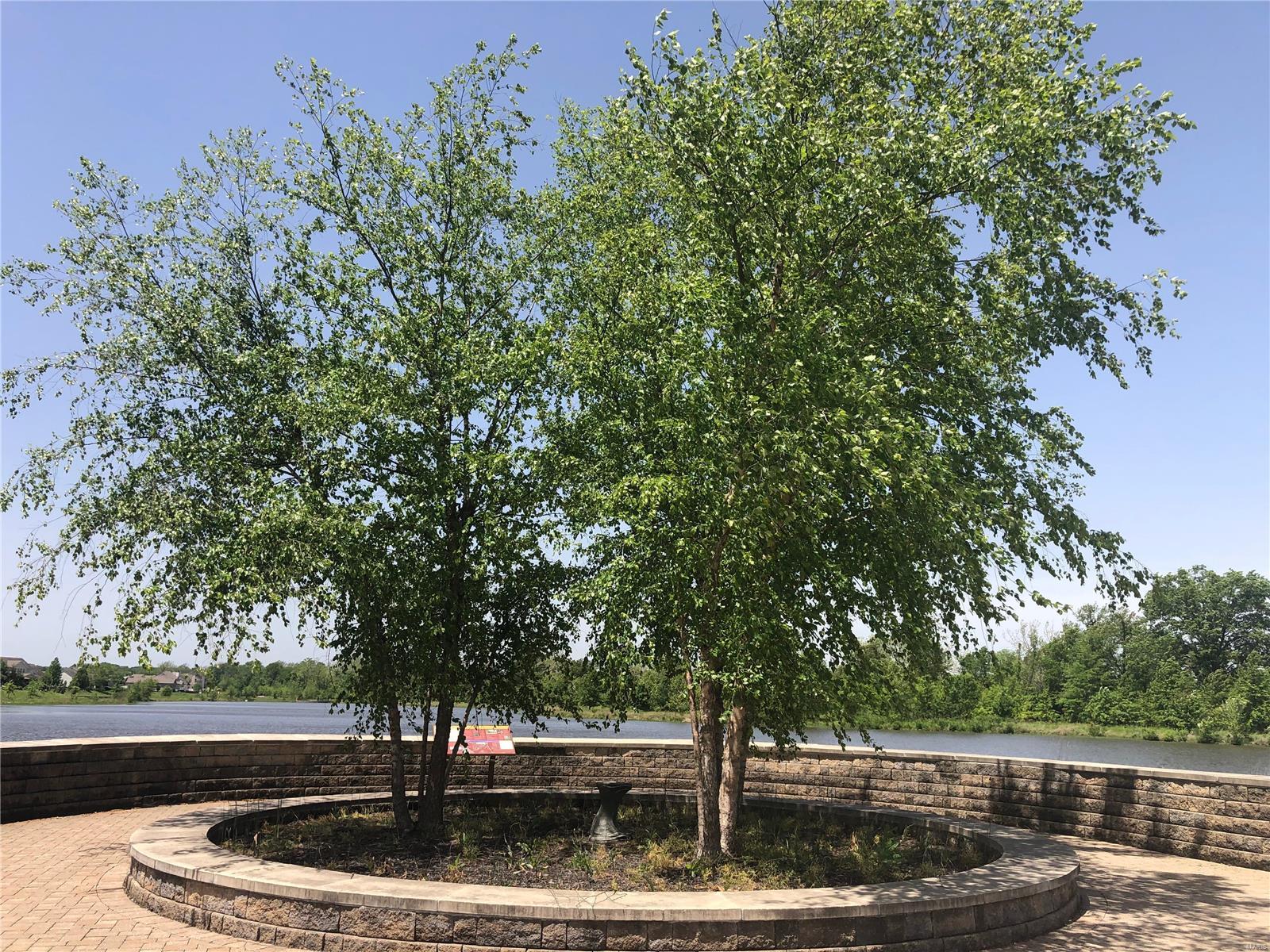 Barathaven - Residential