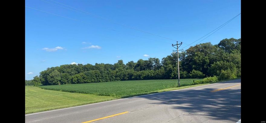 Build your dream home on this 7.85 acre piece of property located right off of Hwy 61. The new interstate overpass is just a couple of miles away making it easy to hop on the interstate to get to work in Cape or Sikeston.  This piece of property is going to go fast!