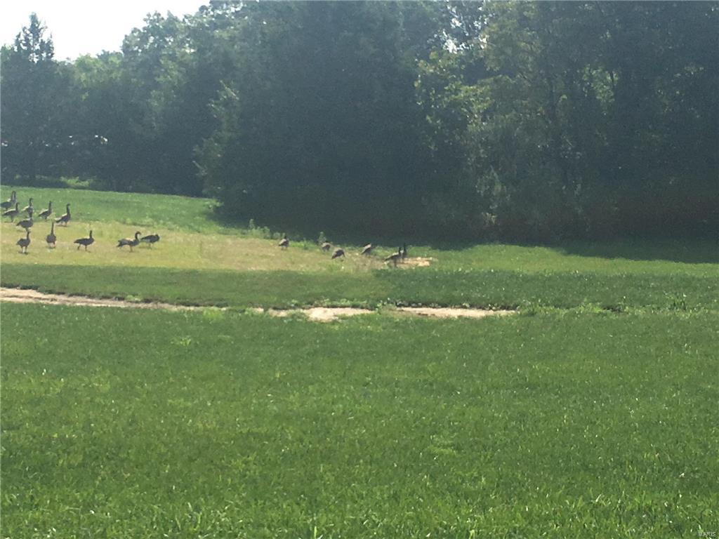 Pine Lake Estates - Land