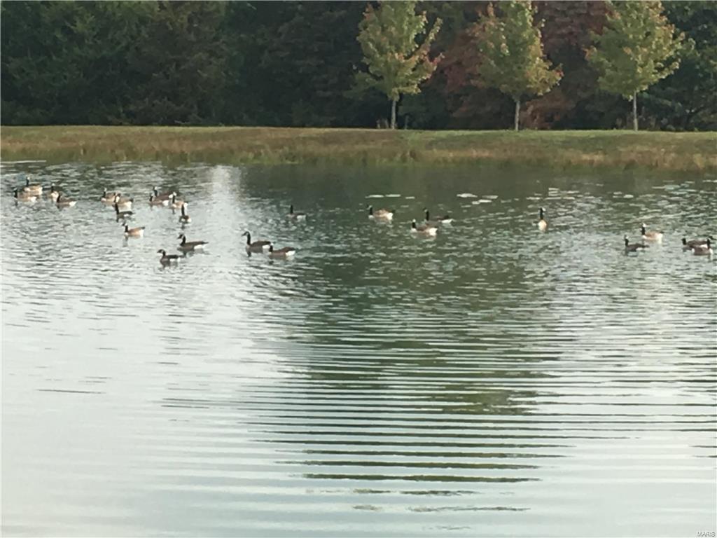 Pine Lake Estates - Land