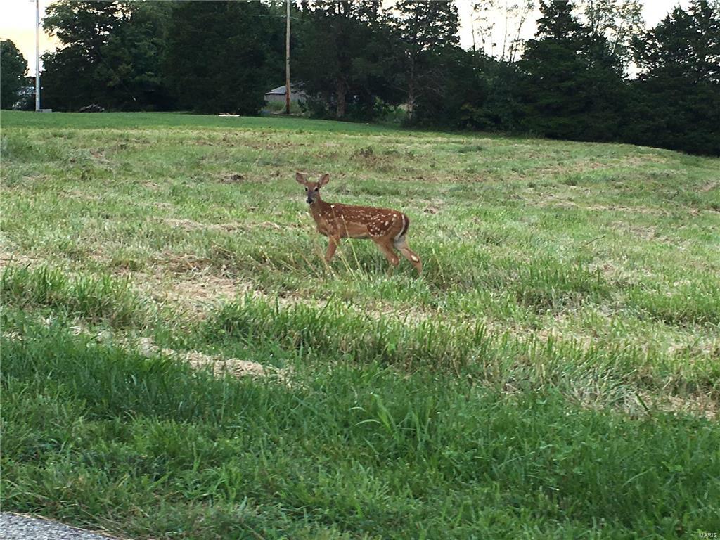 Pine Lake Estates - Land