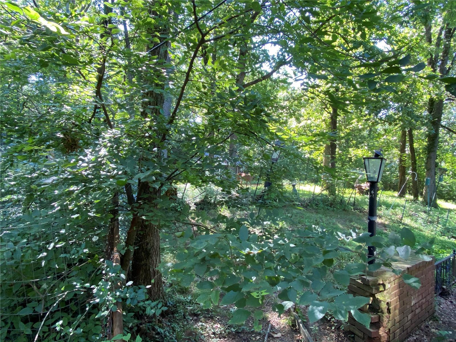 Windsor Forest 2 - Residential