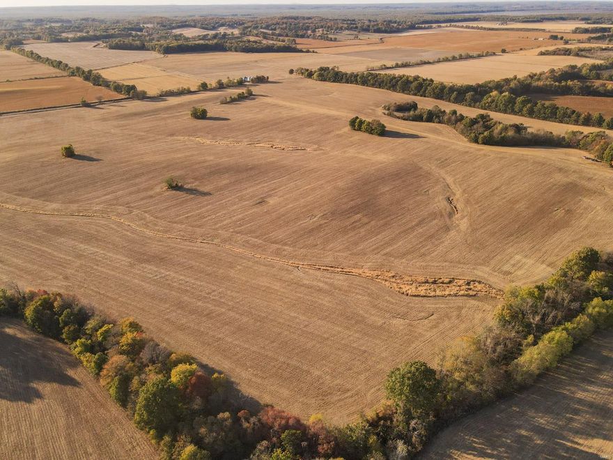 This 242 M/L Acres is fertile cropland located in Kinder Mo. Very well maintained and manicured area with easy access on CR 271. The acreage has been currently planted with soybean crop and is currently leased but new owner can negotiate new rent structure! Estimated 229 tillable Acres, Majority of soil is Type 4 with lesser amount of Type 2 and 3 . Great Investment !!