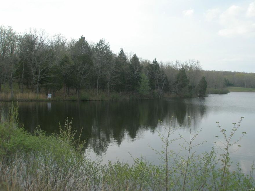 5 ACRE LOT on a 37 ACRE LAKE that FRONTS on the WATERS EDGE on BUZZARD ROCK LAKE, JUST WAITING FOR YOU TO DISCOVER IT AND FALL IN LOVE WITH IT'S BEAUTY. YOU HAVE IT ALL, LIVING AT THE WATERS EDGE, FISHING, BOATING, SWIMMING AND WILD LIFE, JUST A FEW MILES OUT OF TOWN IN A GATED UPSCALE COMMUNITY. MOSTLY WOODED WITH A BEAUTIFUL HOME SITE.