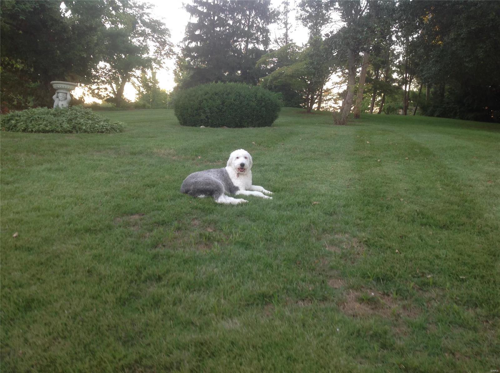 Forest View Sub - Residential