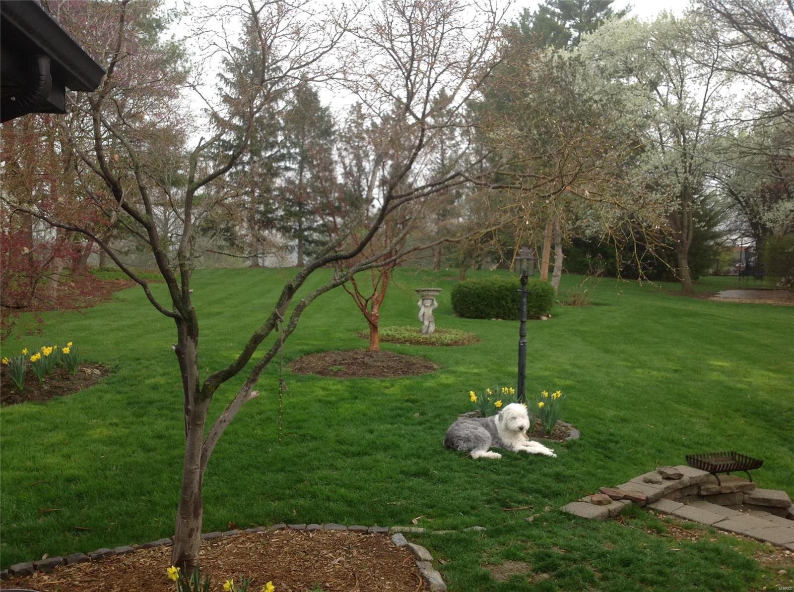 Forest View Sub - Residential