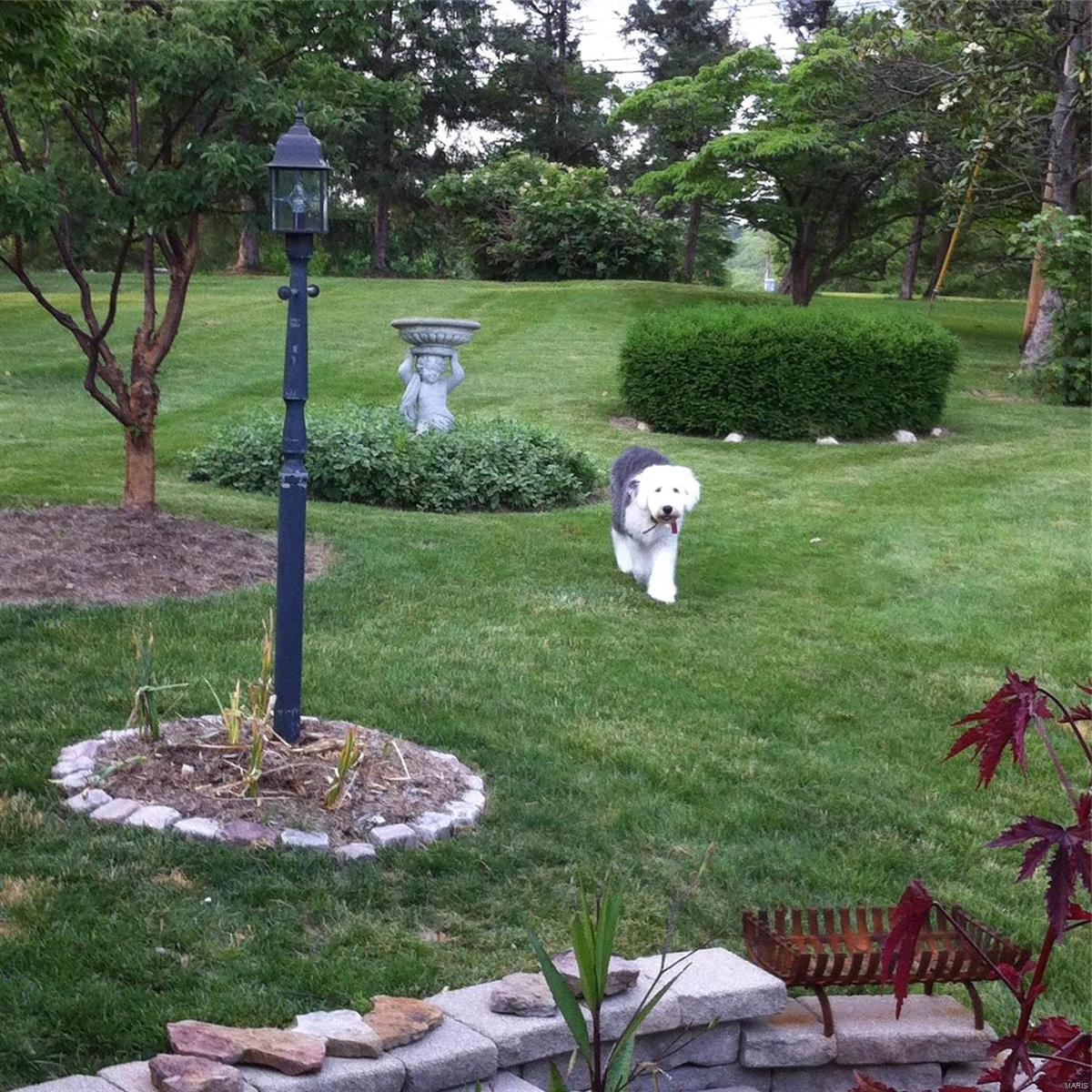 Forest View Sub - Residential