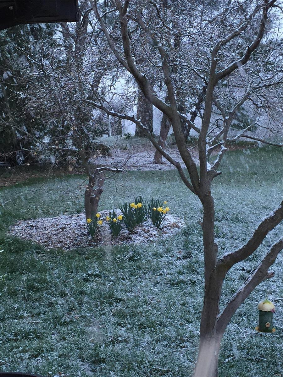 Forest View Sub - Residential