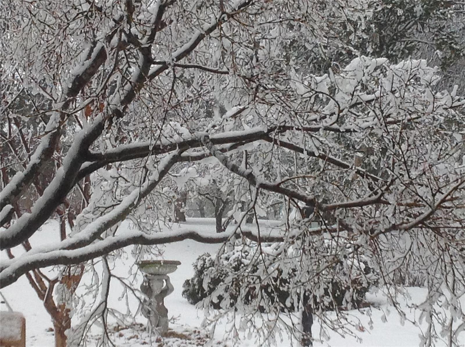 Forest View Sub - Residential