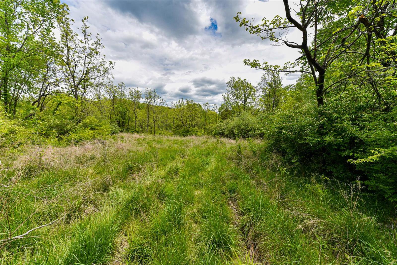 Bluffview Manor - Farm