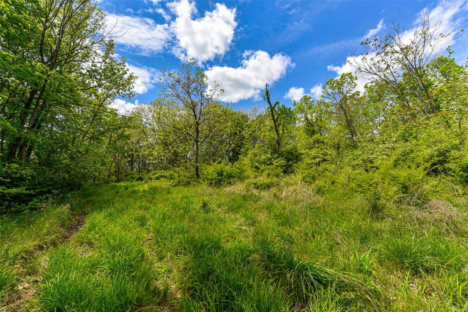 Bluffview Manor - Farm