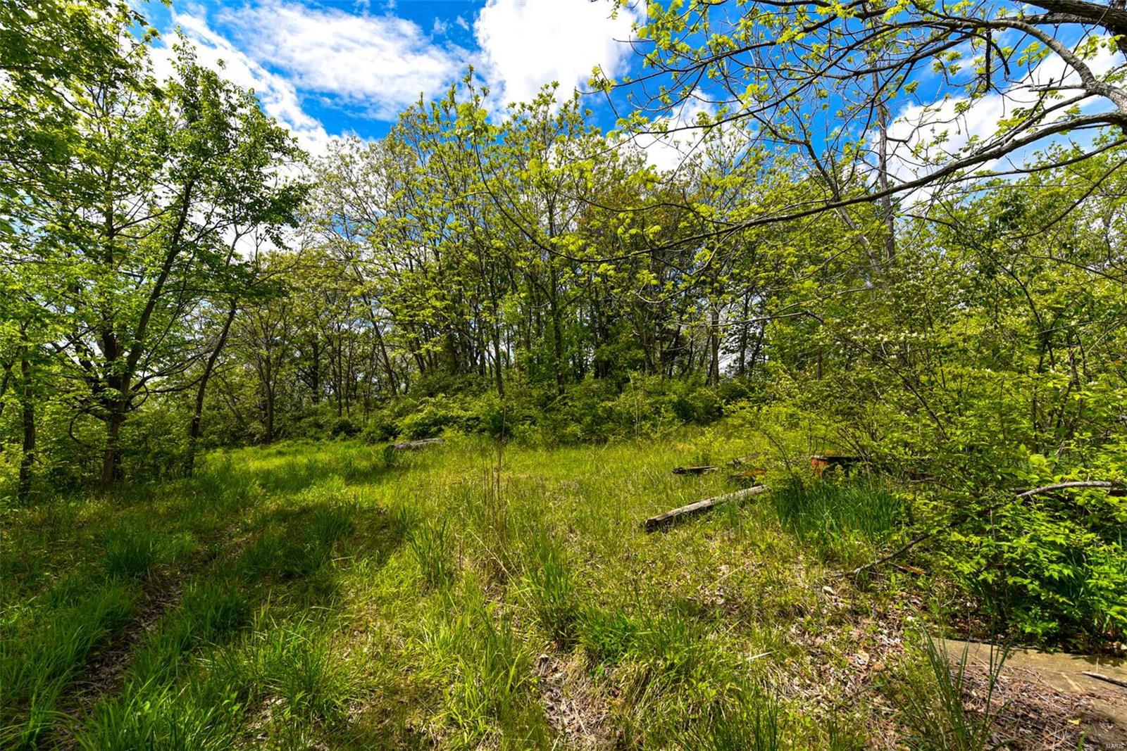 Bluffview Manor - Farm