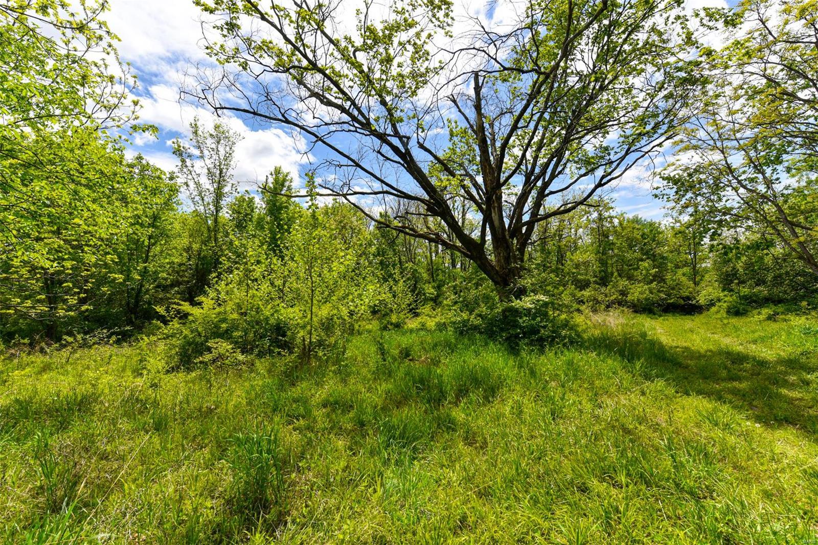 Bluffview Manor - Farm