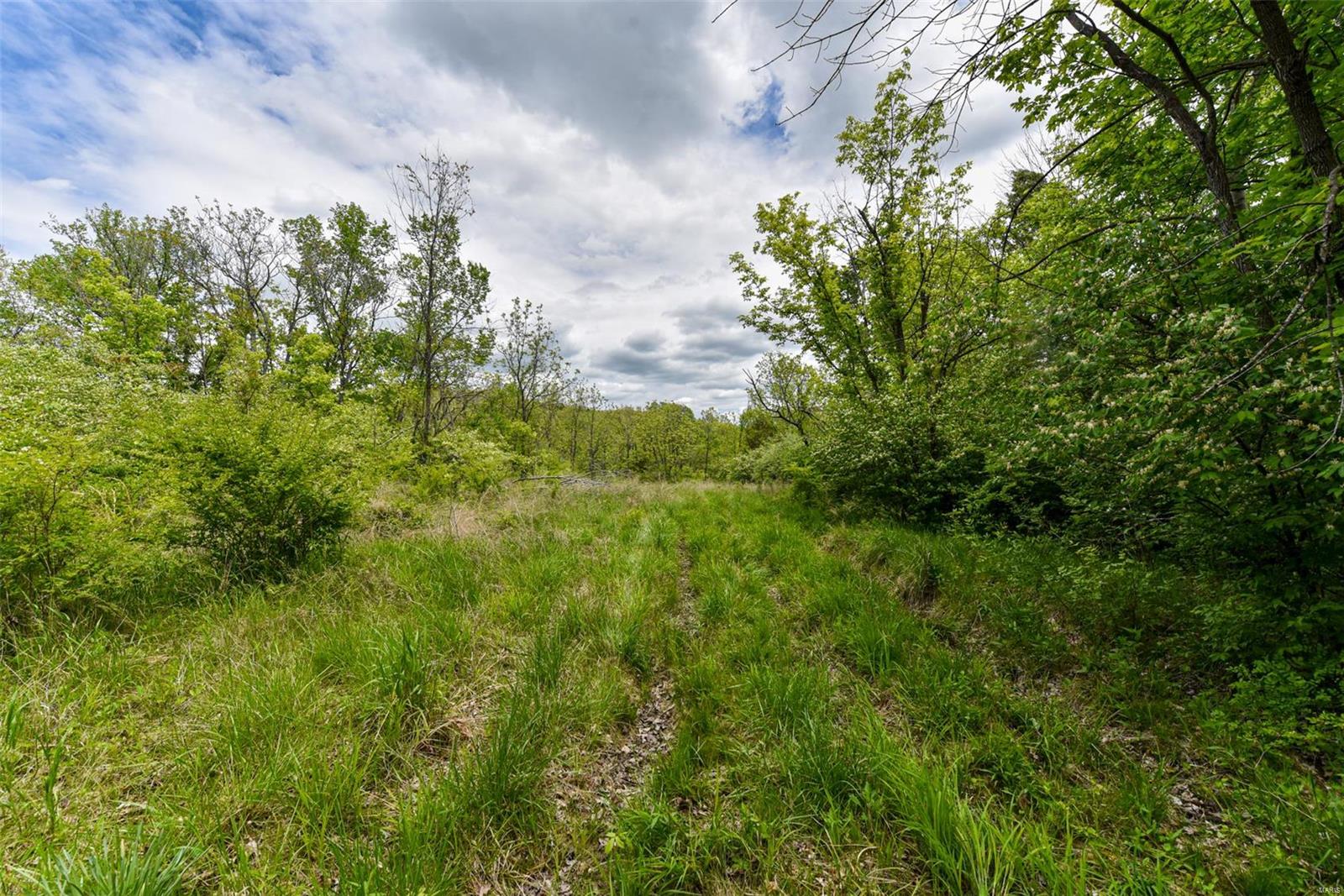 Bluffview Manor - Farm