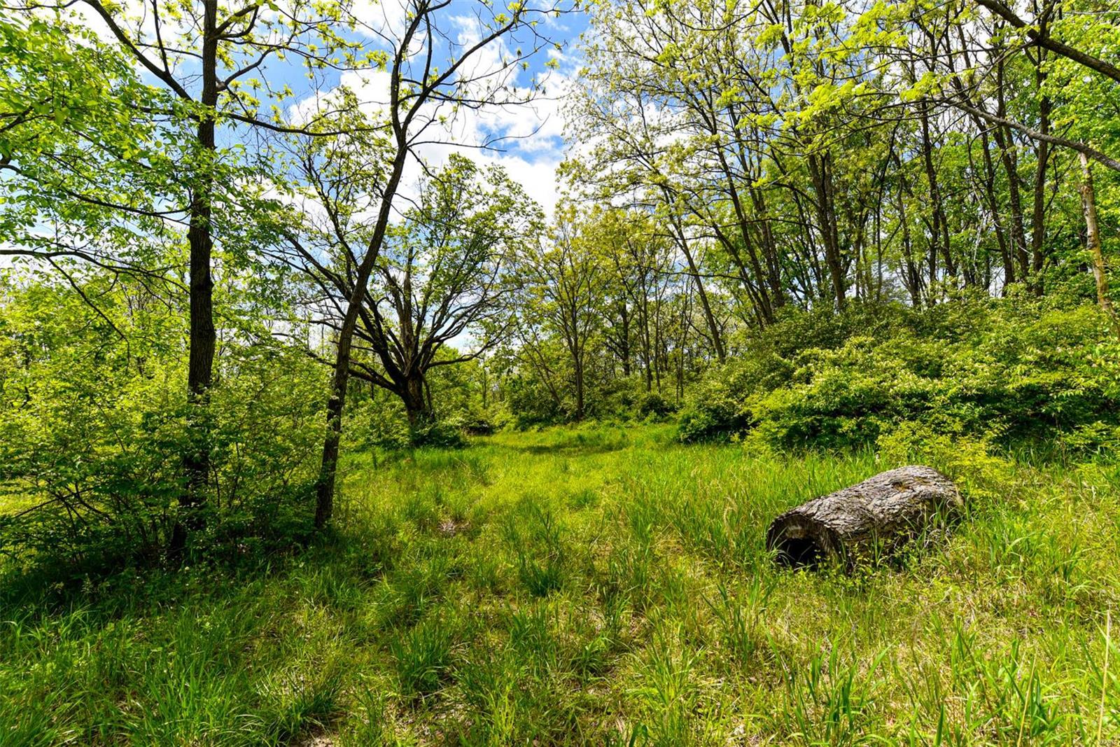 Bluffview Manor - Farm