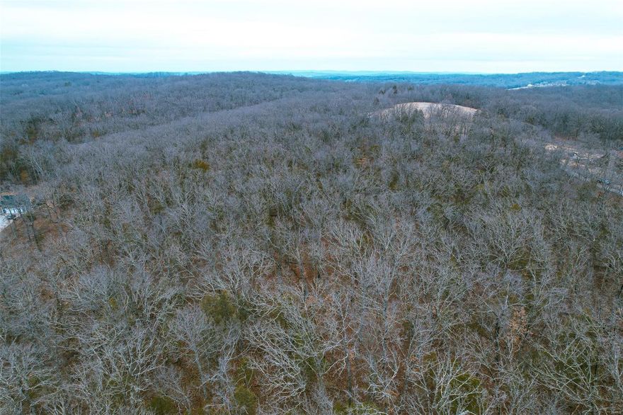 This beautiful 20 +/- acre Timber Tract in Franklin County MO sits just east of St Clair, Missouri in the town of Grubville, Missouri. This property is flat with a few gently sloping ridges. It is 100% timber and has a tremendous amount of potential to either be used for a build site or for recreational activities. With access to the Meramec River nearby, this complements the property’s location.  This property offers seclusion with great access as the property has paved road frontage and sits just minutes from Highway 30.

The timber on this property is primarily made up of Oaks, Hickory and Evergreens. There are some trails established through the property for easy navigation and some fencing along the western boundary.  Whitetails are known to frequent this property, along with other wildlife.  Access to electric is at the road front and 350 +/- foot of frontage.  Don’t miss out on this beautiful property.

Property Survey needs to be completed, Tax rate is for house & 60 acres.