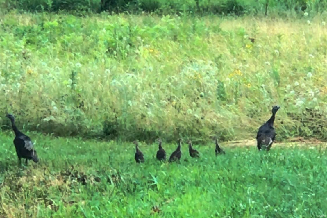 Egypt Mills Rdg Sub - Residential