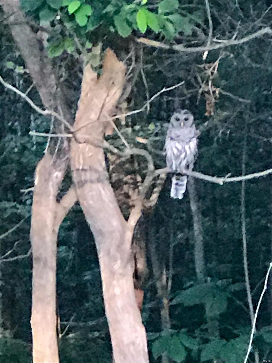 Egypt Mills Rdg Sub - Residential