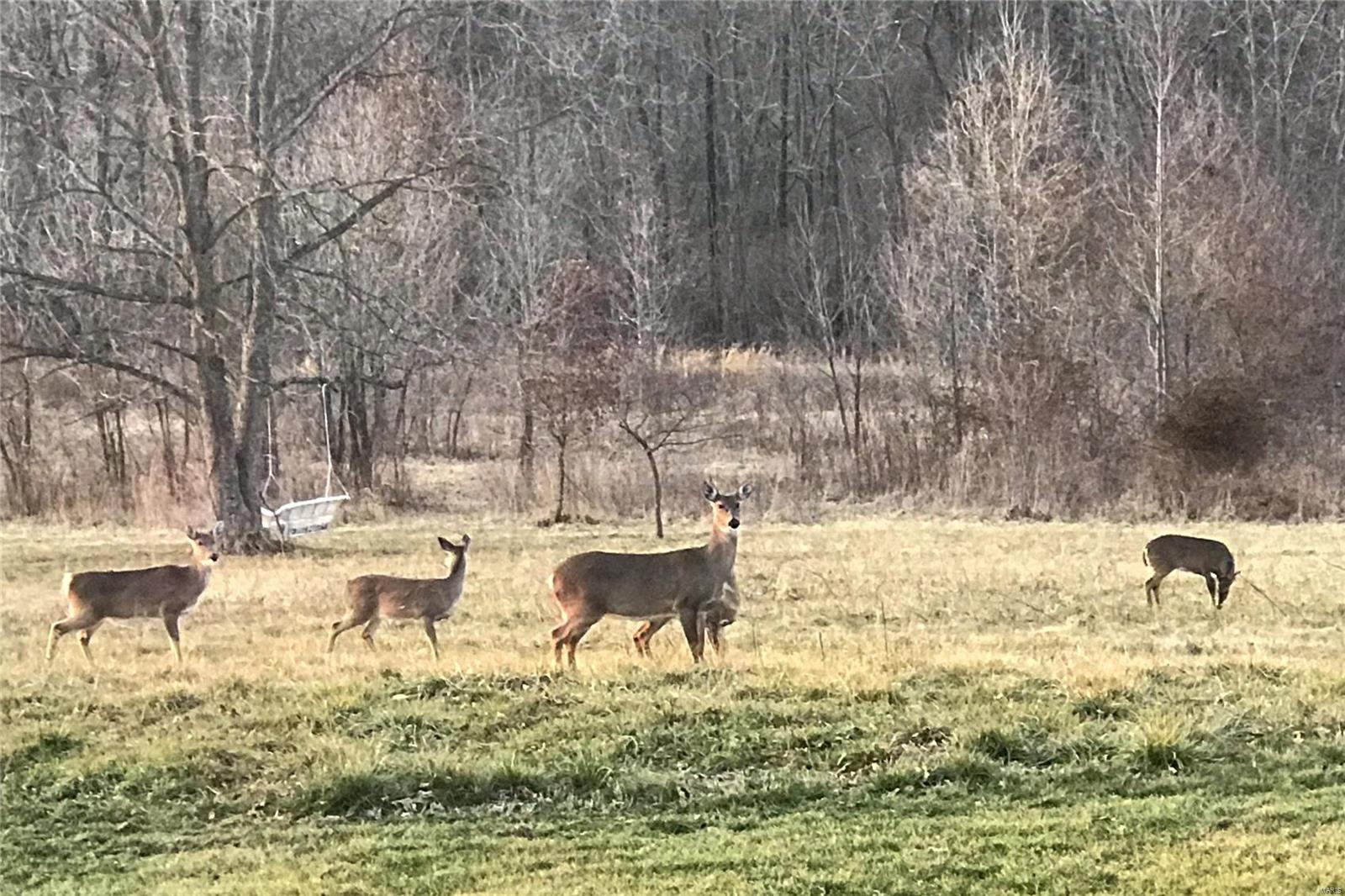 Egypt Mills Rdg Sub - Residential